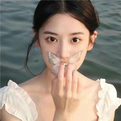 白鹭谣